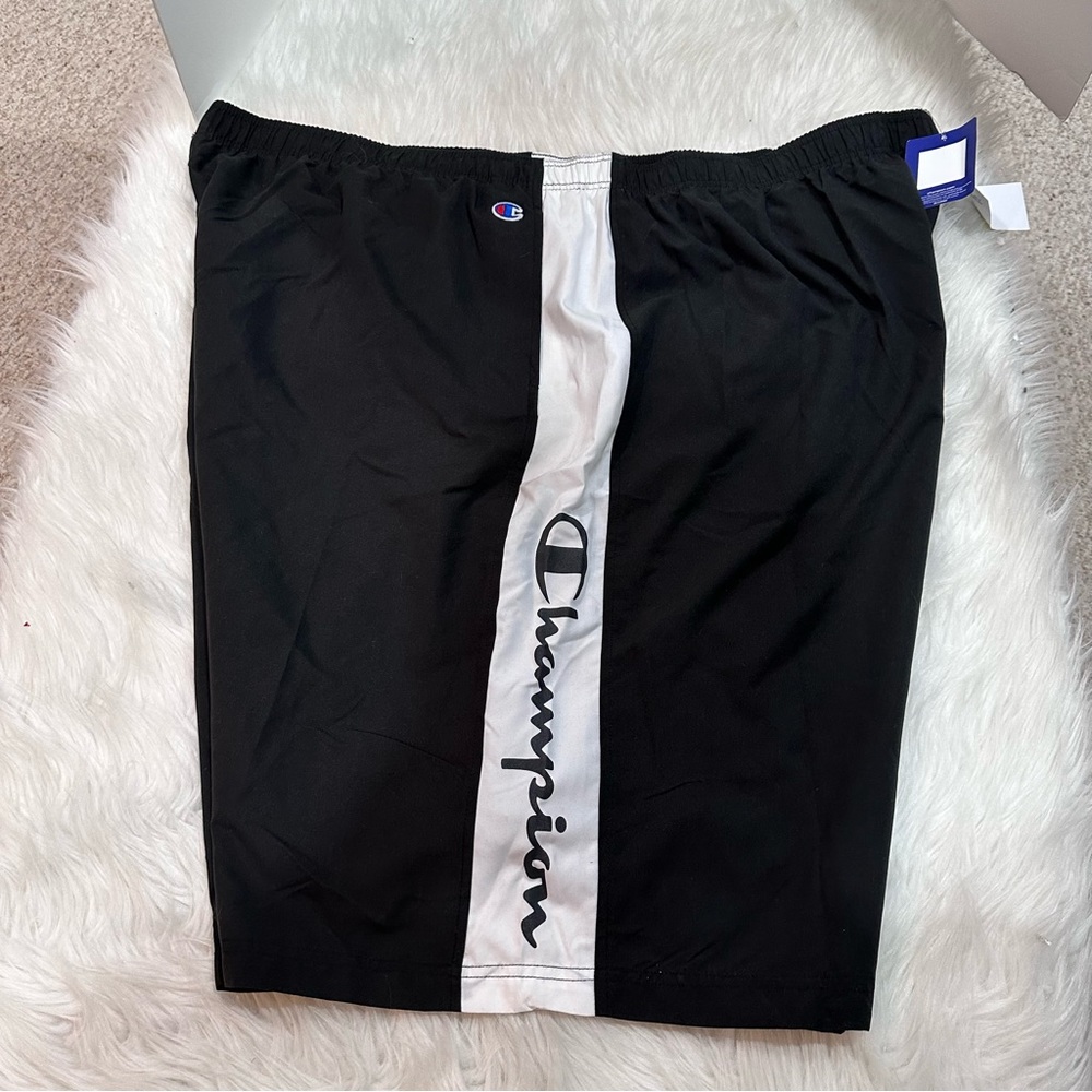 5x Men’s Champion Swim Trunks